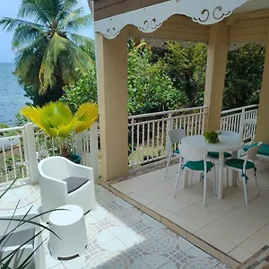 Bromelias , Le Robert Martinique
