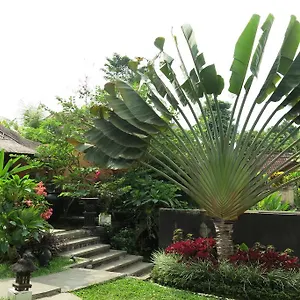 https://villa-nirvana-ubud-bali-80571.ubudhotelsnow.com